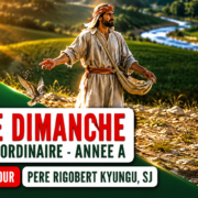 15ème dimanche Temps Ordinaire – Année A 15ème dimanche Temps Ordinaire - Année A