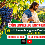 27ème Temps Ordinaire – A (1) 27ème Temps Ordinaire - A (1)