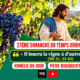 27ème Temps Ordinaire - A (1)